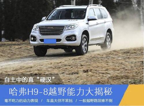 国产车俄罗斯越野视频,展现硬核实力