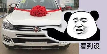 开国产车撩妹真实视频,一场真实撩妹视频的甜蜜邂逅