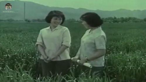 国产故事片插曲集锦视频,国产故事片插曲集锦