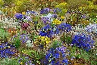 国产欧洲韩国野花视频,国产、欧洲、韩国野花视频大赏