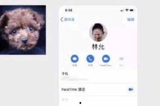 k视频国产网红,K视频平台上的璀璨新星  第2张