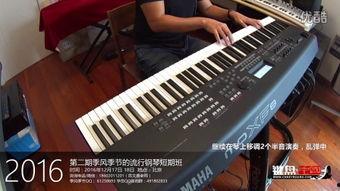 国产流行钢琴弹奏视频大全  第1张