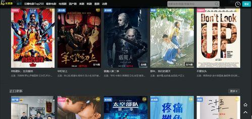 一级免费国产亚一视频  第2张