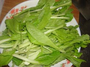 国产小白菜视频  第2张