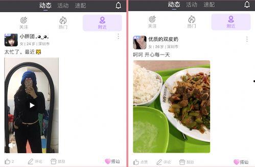 国产鱼粮测评视频下载,品质与口感的双重体验解析  第3张